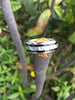 Titanium Ring with White Carbon Fiber and Black Wood