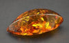 Gold Amber Titanium Ring - Hawaii Titanium Rings
 - 2