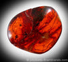 Red Amber Titanium Ring - Hawaii Titanium Rings
 - 2