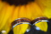 Turquoise and Koa Wood Hawaii Titanium Ring®