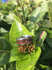 Hawaiian Koa Wood and Black Carbon Fiber Hawaii Titanium Ring®