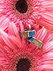 Diamond Koa Wood Blue Opal Wedding Ring Band from Hawaii Titanium Rings®