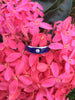 Lapis Diamond Titanium Ring Mens Wedding Band - Hawaii Titanium Rings
 - 2