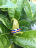 Titanium Diamond Ring with Koa and Lapis From Hawaii Titanium Rings®