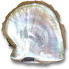 Mother of Pearl Titanium Ring Band - Hawaii Titanium Rings
 - 4