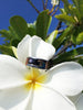 Surf Titanium Ring - Hawaii Titanium Rings
 - 3