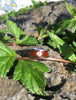 Three Falls Australian Opal Titanium Ring - Hawaii Titanium Rings
 - 4